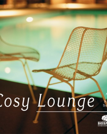 cosy-lounge