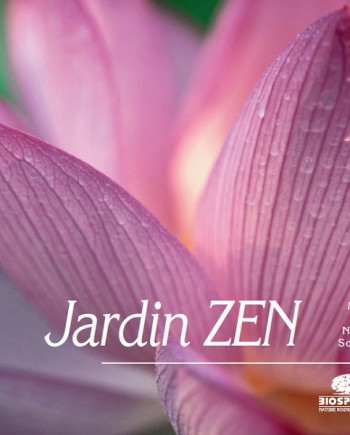 jardin-zen