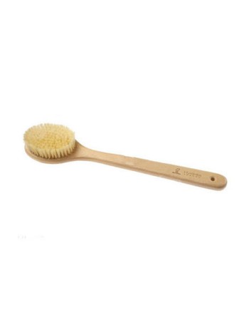 bristle brush