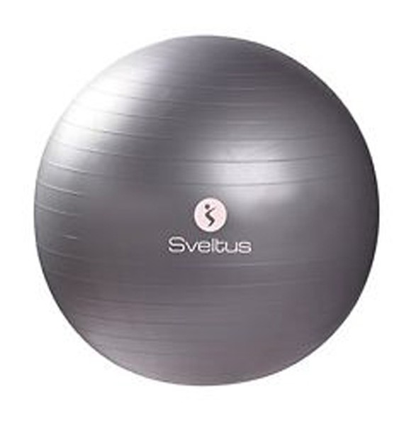 gymball-grey